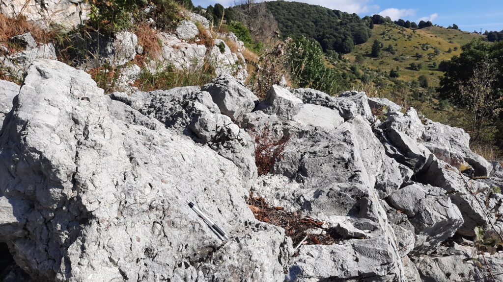 Geo-escursione: SALENDO SULLA PIATTAFORMA CARBONATICA DI MEZZOMONTE