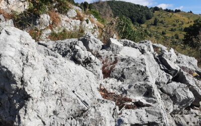 mezzomonte fossili escursione (1) x pannello o sito