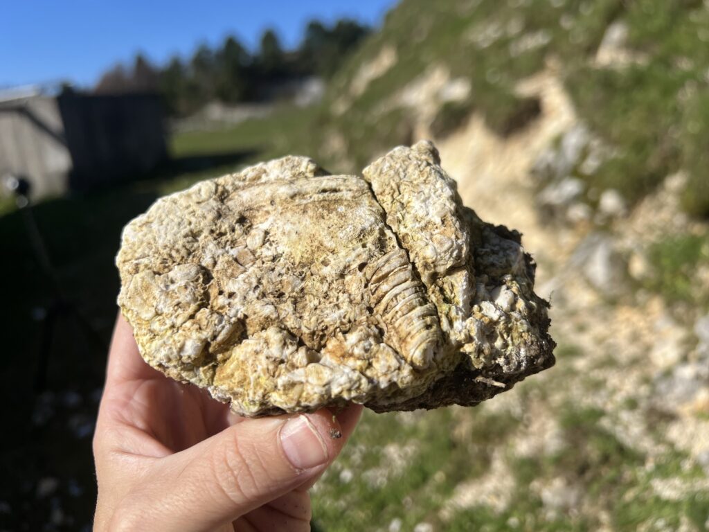 Geo-escursione: IL SENTIERO GEOLOGICO DEL COL DEI S’CIOS