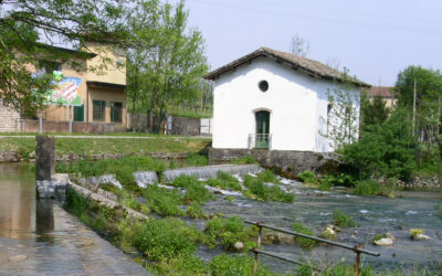 MINOLTA DIGITAL CAMERA